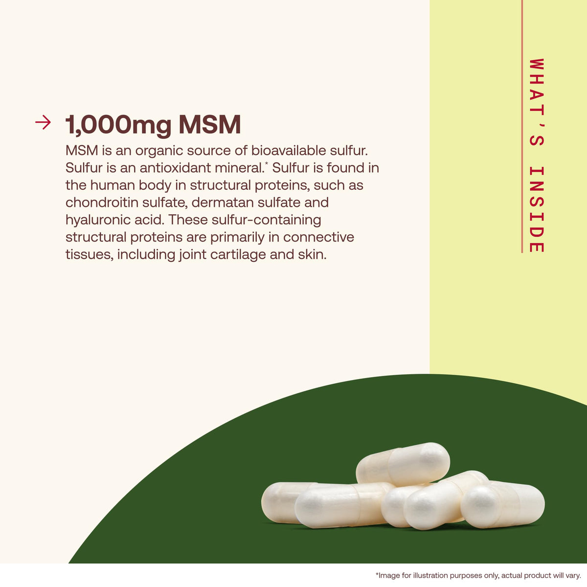 MSM Capsules 1,000 mg 200 Capsules C7583