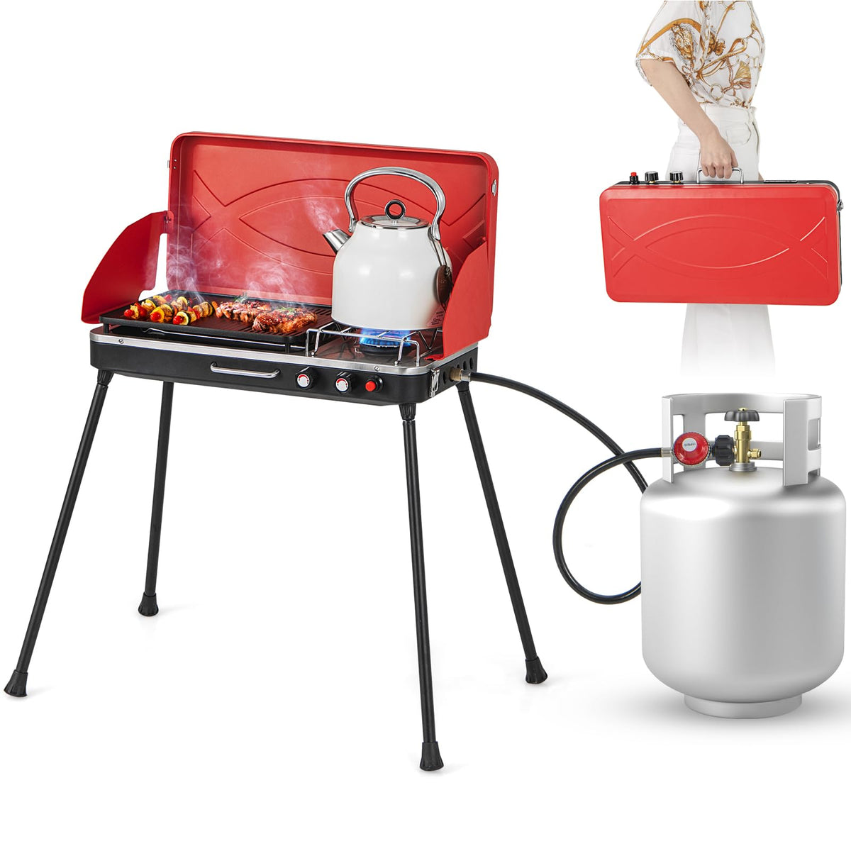 2-Burner Portable Propane Gas Grill with Removable Legs W628650