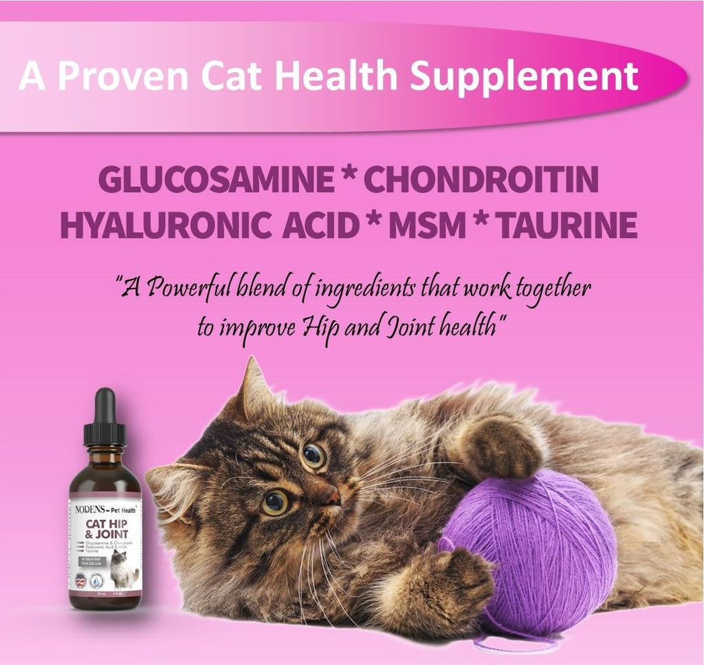 Natural Glucosamine for Cats and Small Dogs U9742