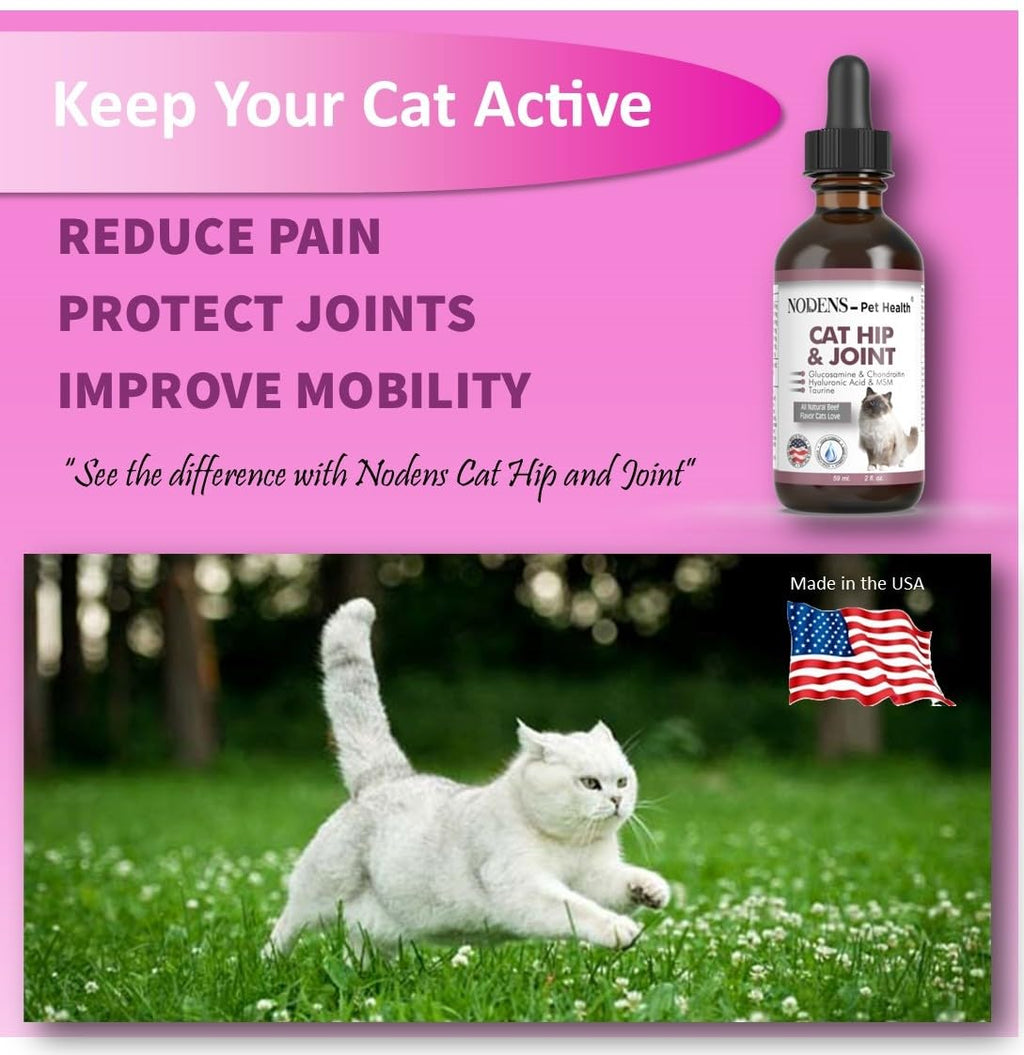 Natural Glucosamine for Cats and Small Dogs U9742