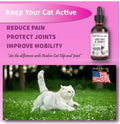 Natural Glucosamine for Cats and Small Dogs U9742