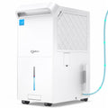 6000 Sq Ft ENERGY STAR Dehumidifier with Pump Z573