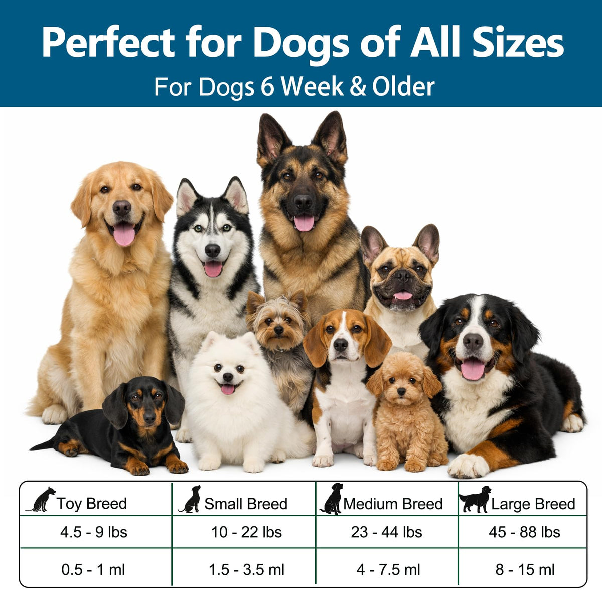Broad Spectrum Dog Dewormer C50478