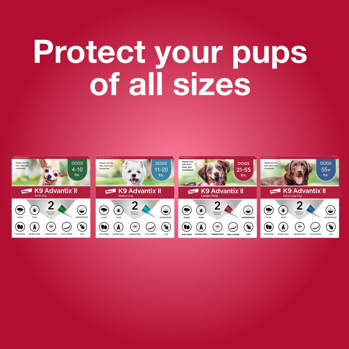 Flea & Tick Topical for Small Dogs 4–10 lbs. I42822