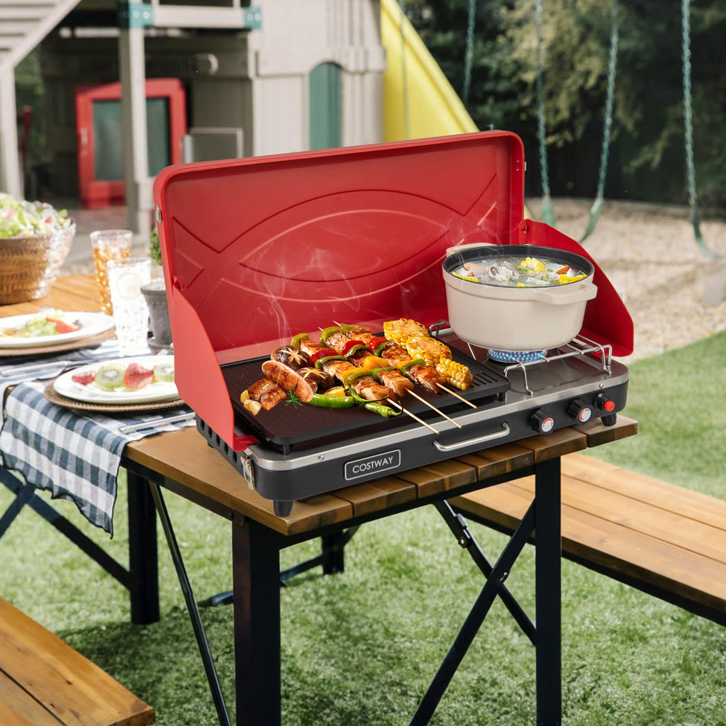 2-Burner Portable Propane Gas Grill with Removable Legs W628650