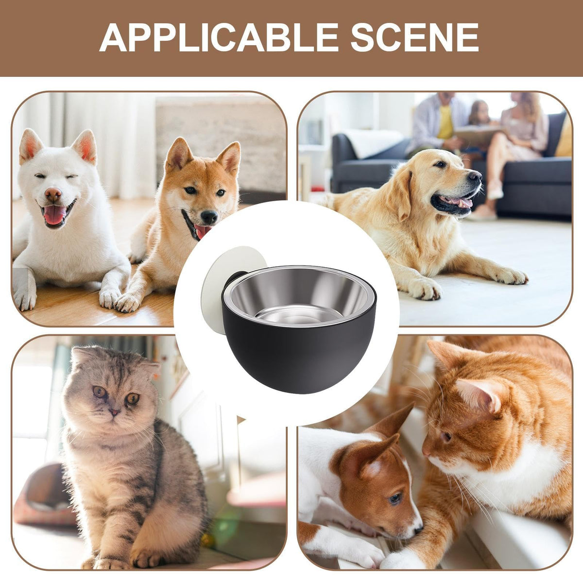 Wall Mounted Pet Bowls Dishwasher Safe S148