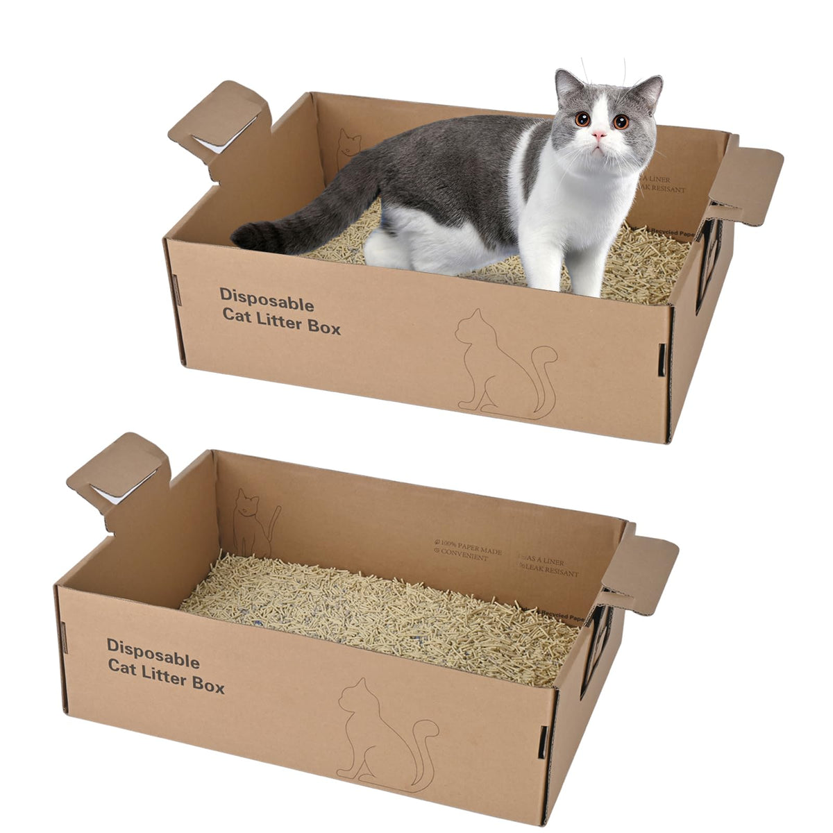 2 Pack Large Cardboard Cat Litter Box O795