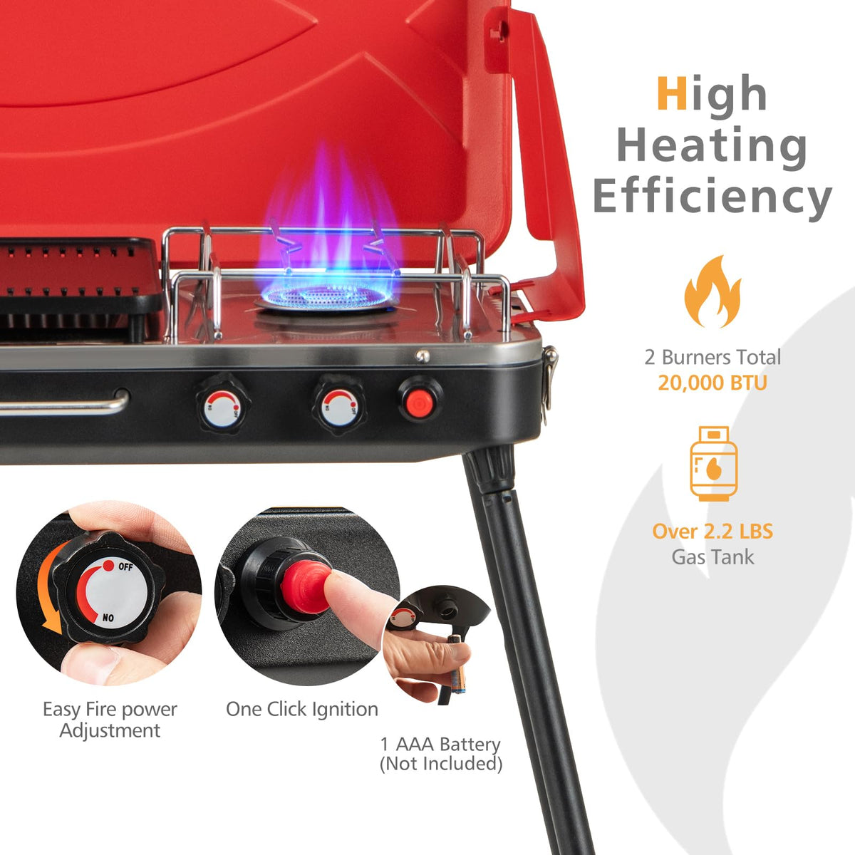 2-Burner Portable Propane Gas Grill with Removable Legs W628650