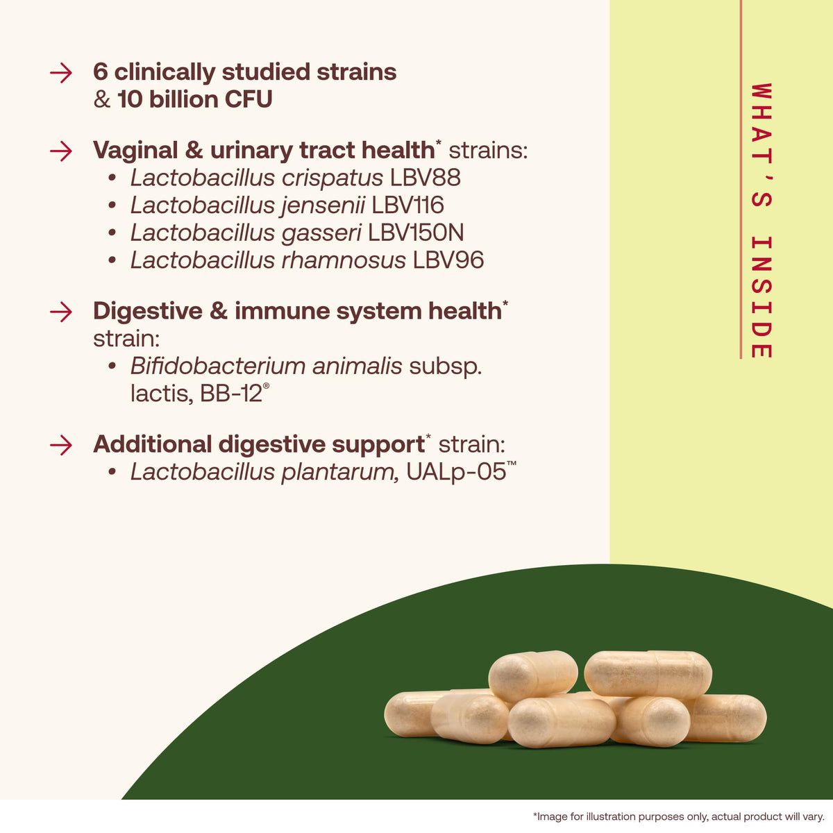 30 Capsules 10 Billion CFU Probiotics J31547