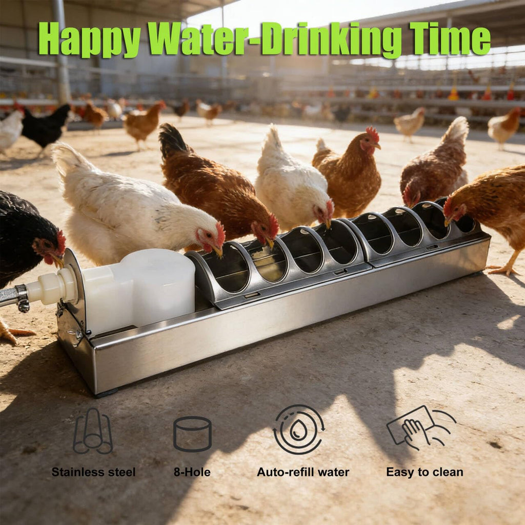 Automatic Stainless Steel Poultry Waterer K7391