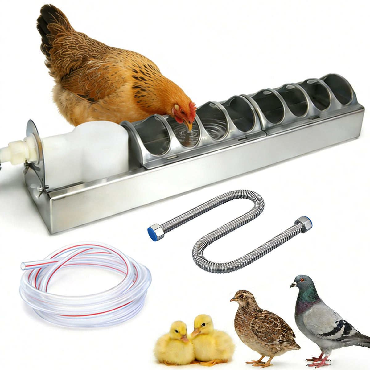 Automatic Stainless Steel Poultry Waterer K7391