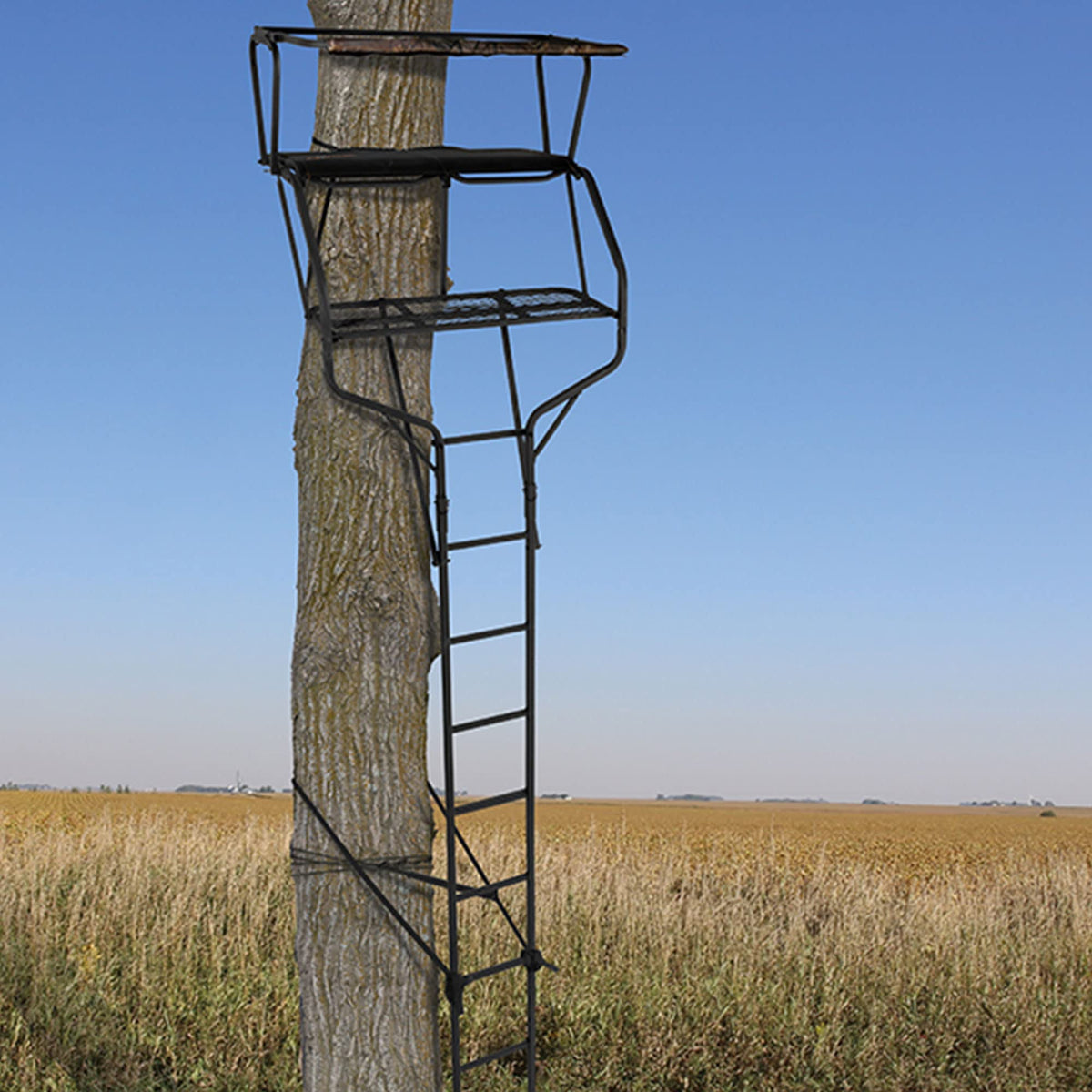 2 Person 18 Foot Tall Portable Hunting Tree Ladder Stand (2 Pack) B457765