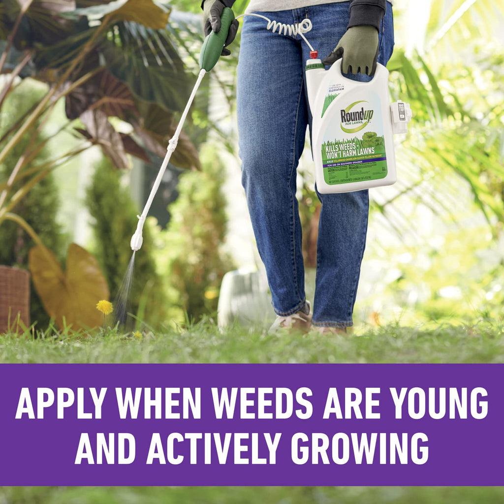 Roundup for Lawns4 Ready-to-Use 1 gal. O2010