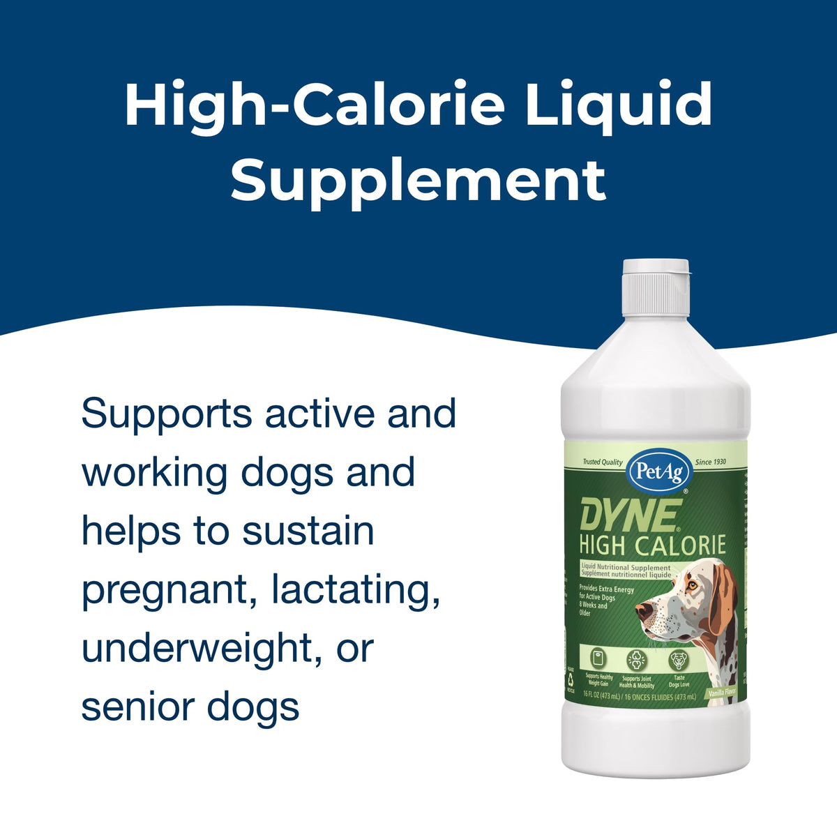 High Calorie Liquid Nutritional Supplement for Dogs & Puppies 16 oz G651458