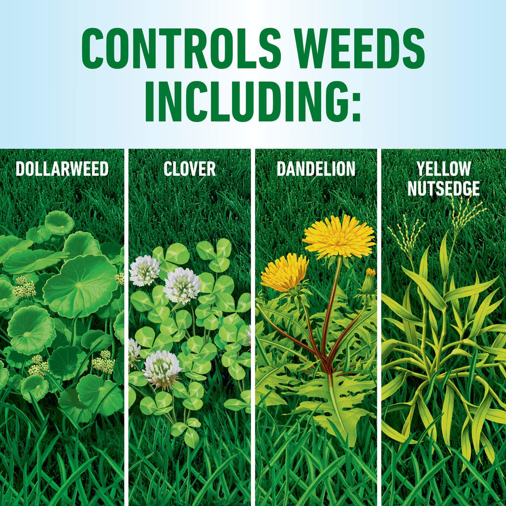 Roundup for Lawns4 Ready-to-Use 1 gal. O2010