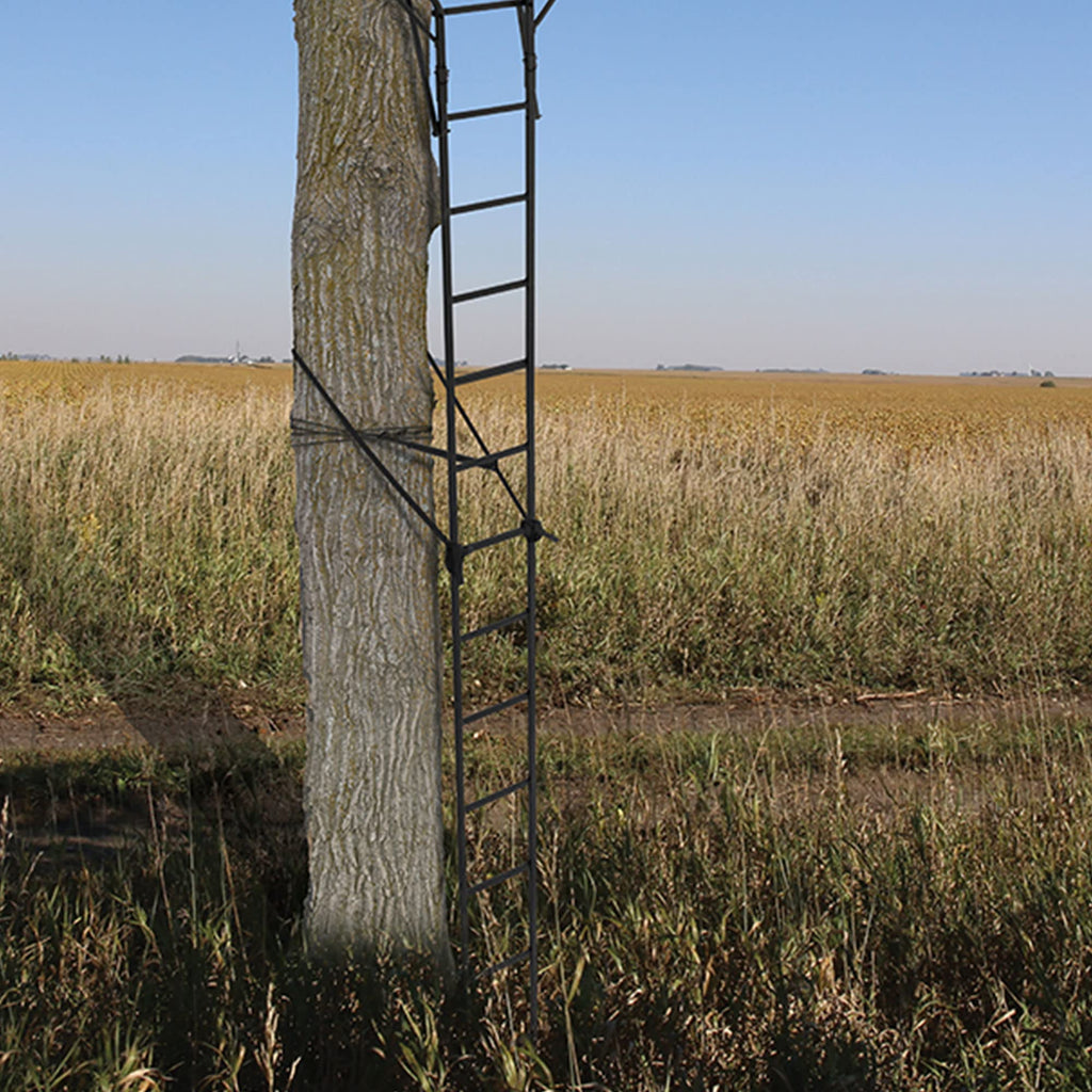 2 Person 18 Foot Tall Portable Hunting Tree Ladder Stand (2 Pack) B457765