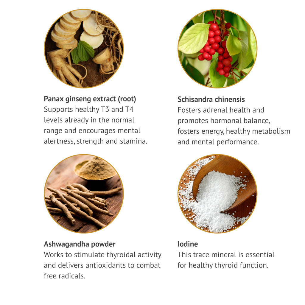 Thyroid Support with Ashwagandha, Schisandra Chinensis, Iodine 60 Vege Caps V314468