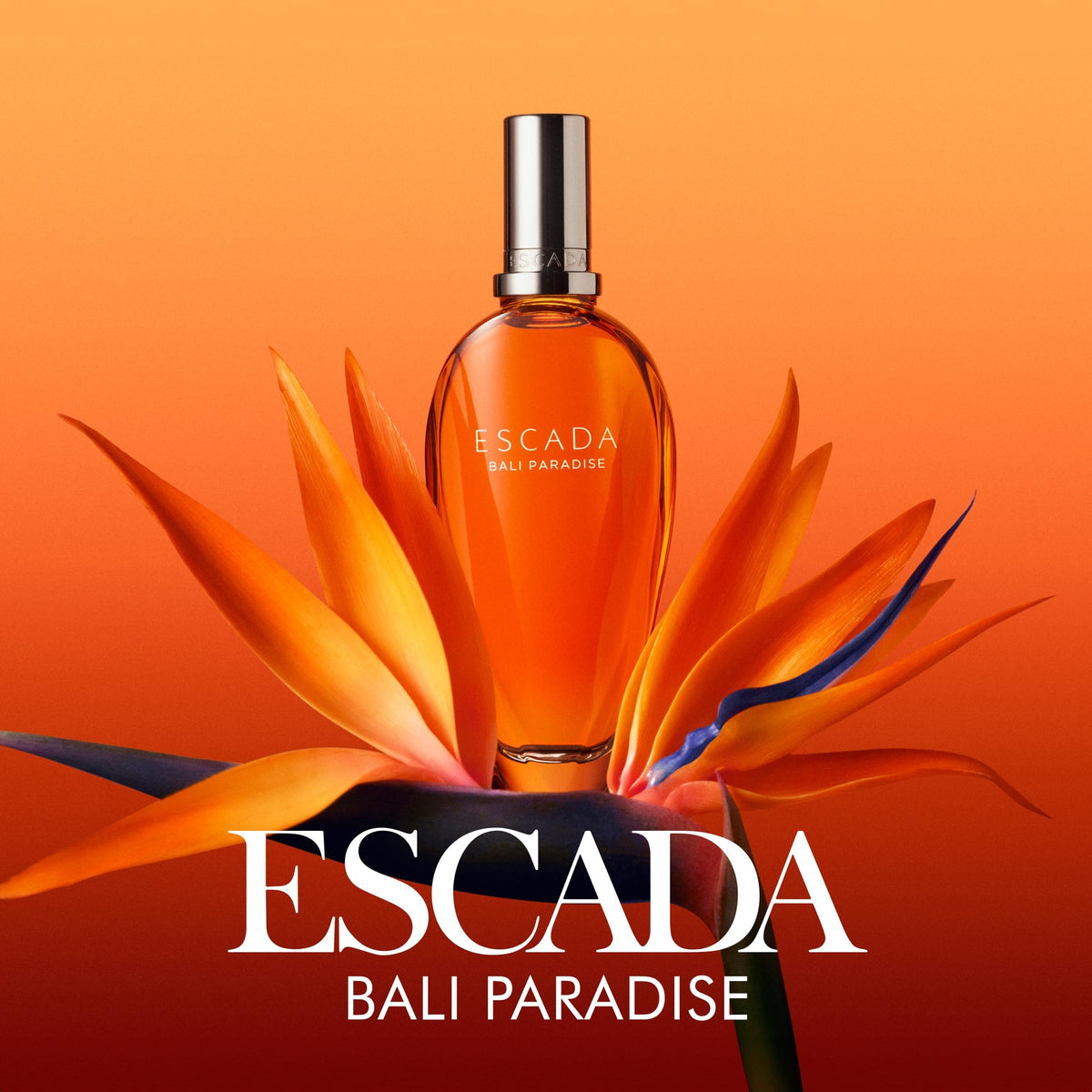 Floral Eau De Toilette with Dragon Fruit, Bird of Paradise & Sandalwood F212944