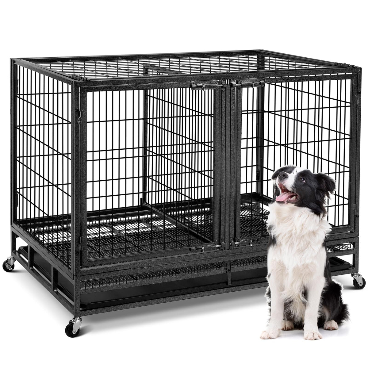 48 inch Wire Dog Crate with Divider V6944