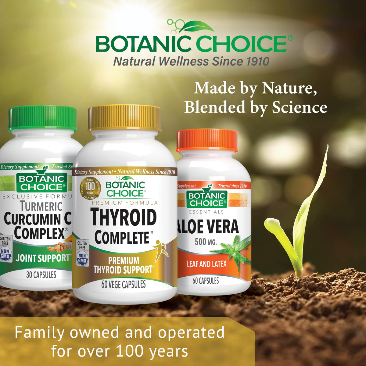 Thyroid Support with Ashwagandha, Schisandra Chinensis, Iodine 60 Vege Caps V314468