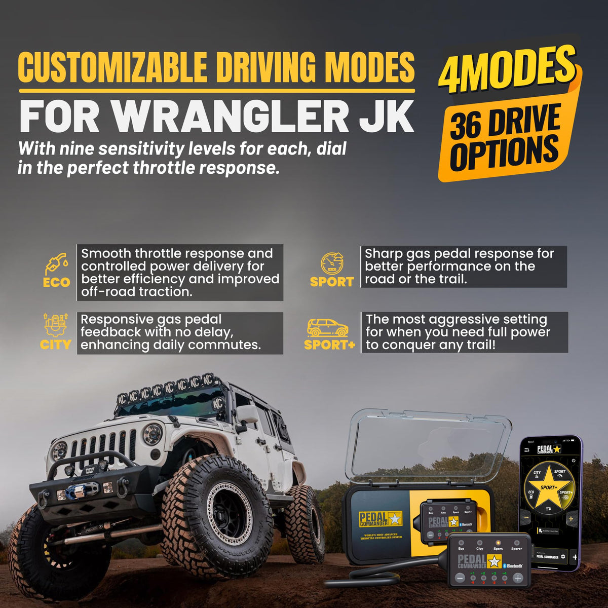 Throttle Response Controller W738
