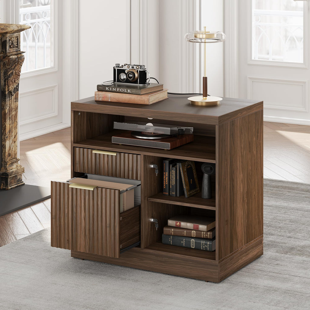 2 Drawer File Cabinet with Lock Y463