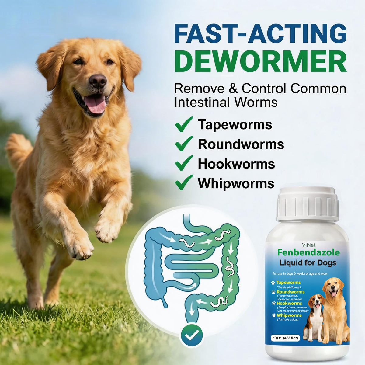 Broad Spectrum Dog Dewormer C50478
