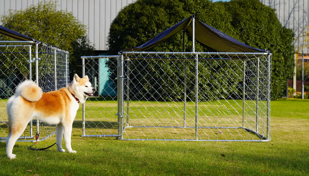 Heavy Duty Steel Dog Kennel with Secure Lock G9024