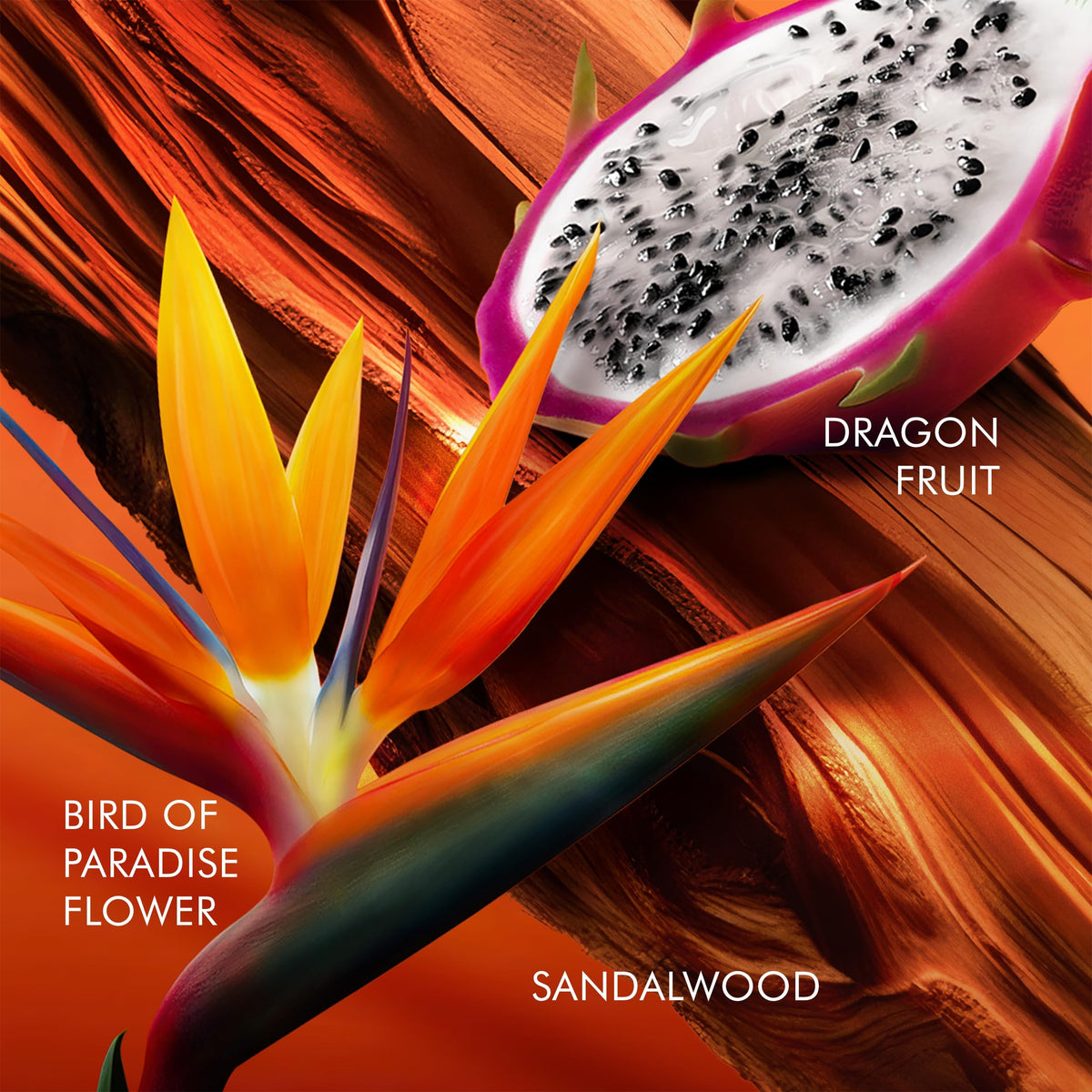 Floral Eau De Toilette with Dragon Fruit, Bird of Paradise & Sandalwood F212944