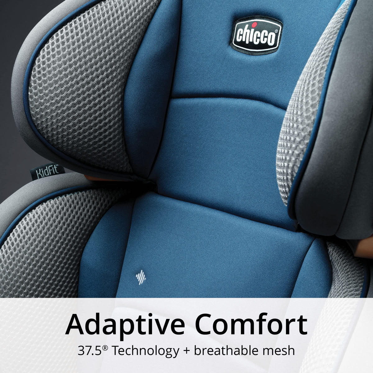 2-in-1 Belt-Positioning Booster Car Seat B6997